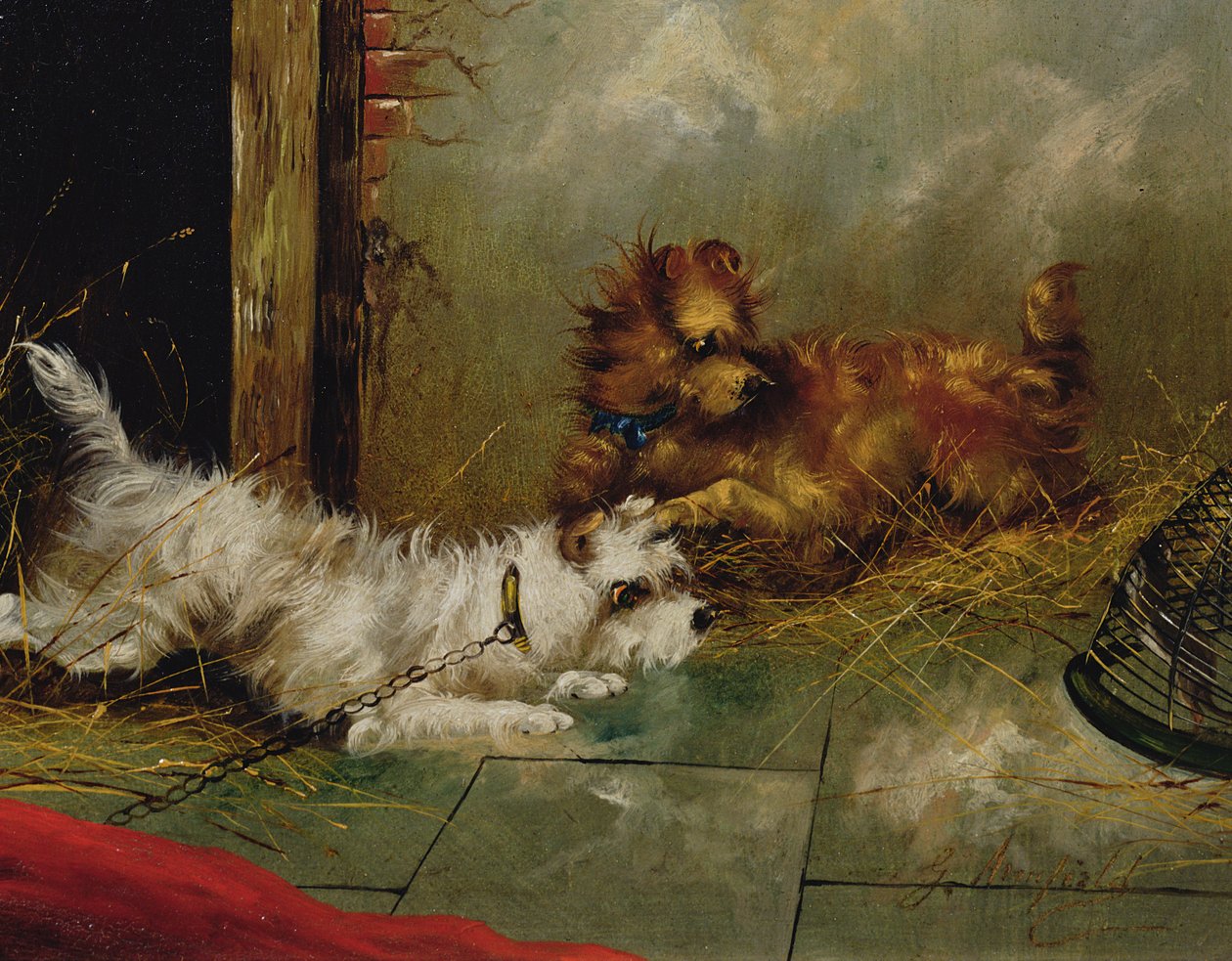 Hrající teriéři od George Armfield