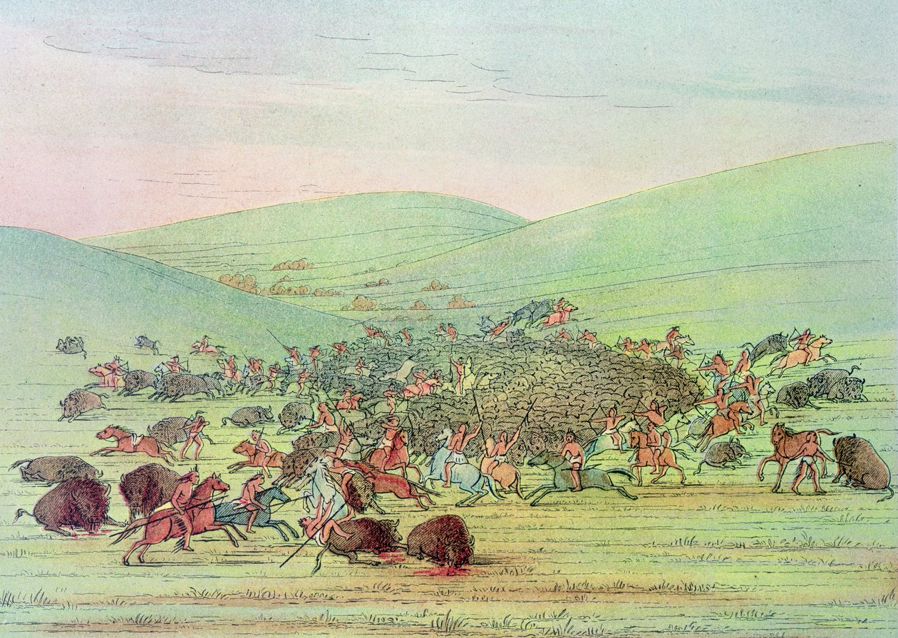 Minatarees útočící na buvoly na koni od George Catlin