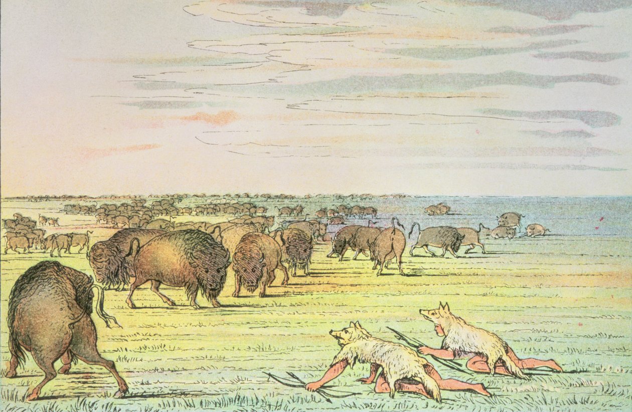 Pronásleduje buvola od George Catlin