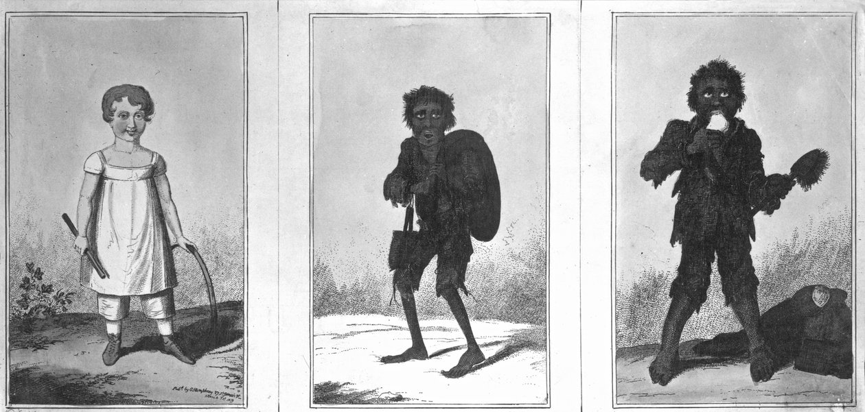 Pěkný Bob, chudák Bob, Bandy Bob, 1819 od George Cruikshank