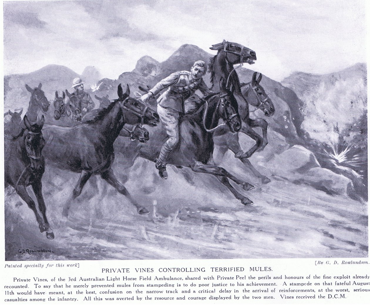 Private Vines udělil DCM za ovládání vyděšených mul v srpnu 1915 od George Derville Rowlandson