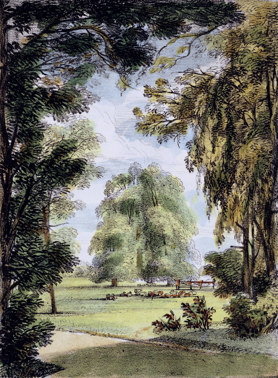 The Sister Trees, Kew Gardens, deska 8 z 
