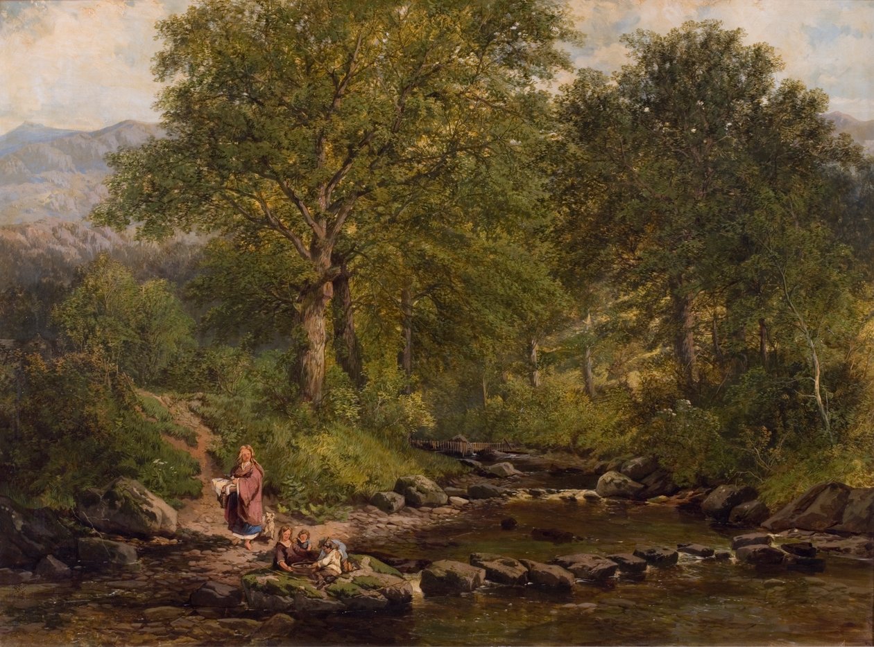 Stupně na řece Rothay, pod Loughriggem, 1857 od George W. Pettit
