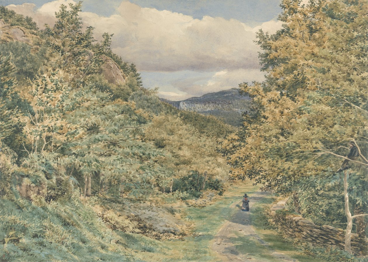 A Road near Bettws-y-Coed, 1851 (wc přes grafit na papíře) od George Price Boyce