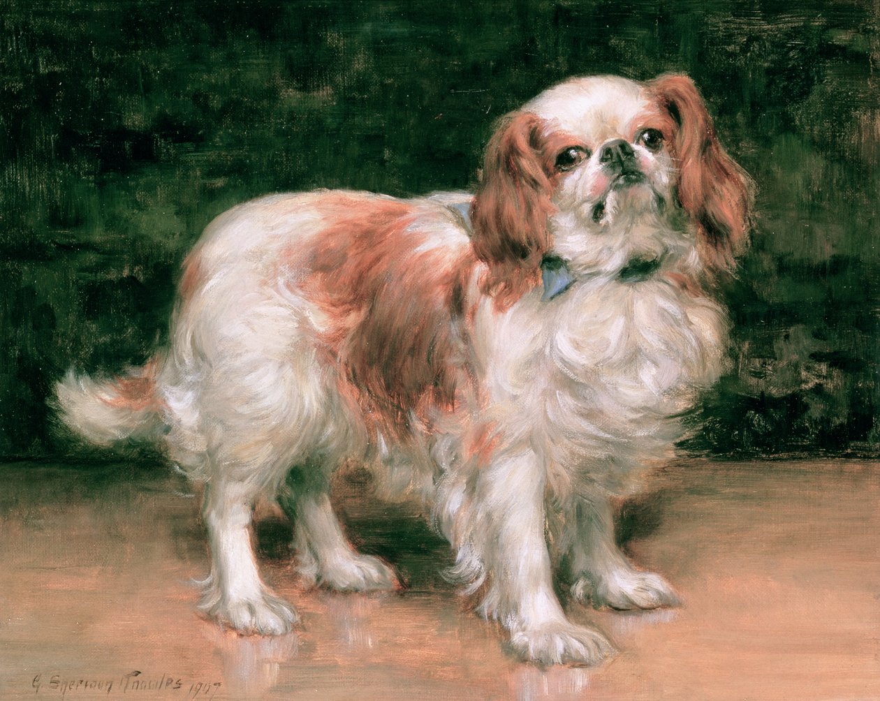 King Charles Španěl, 1907 od George Sheridan Knowles
