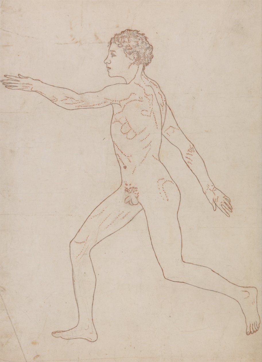 Srovnávací anatomická expozice struktury lidského těla s tygrem a ko ... od George Stubbs