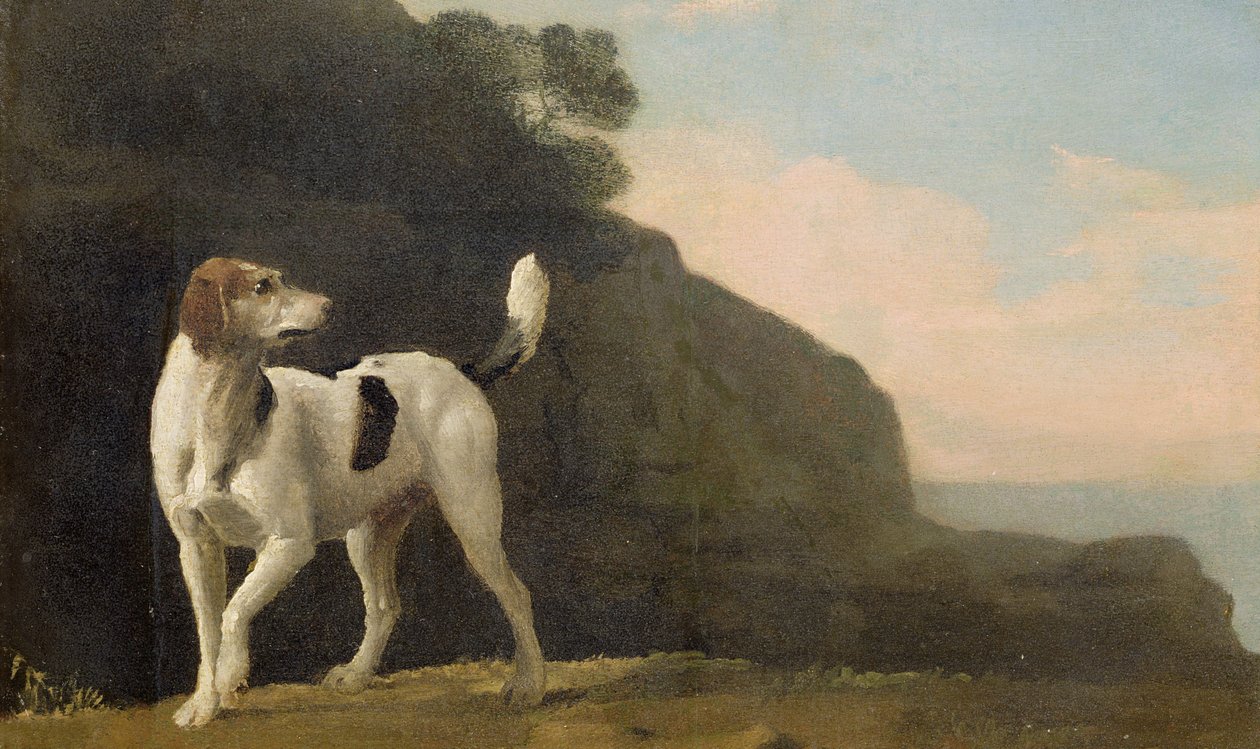 Foxhound, cca 1760 (olej na papíře položeném na palubě) od George Stubbs
