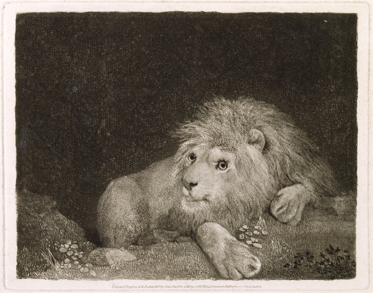 A Lion (Ležící lev) rytý umělcem, hospoda. 1788 od George Stubbs