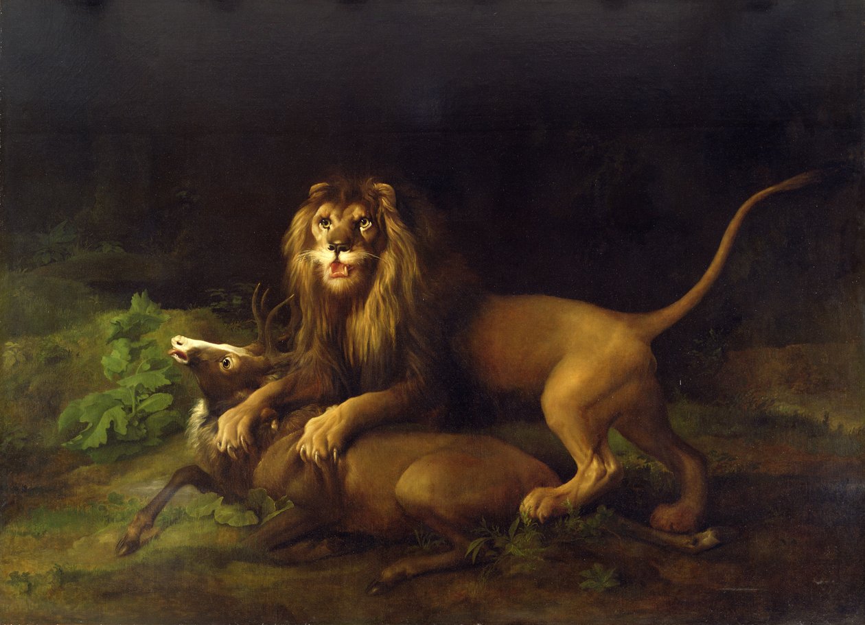 Lev útočí na jelena, kolem roku 1765 od George Stubbs