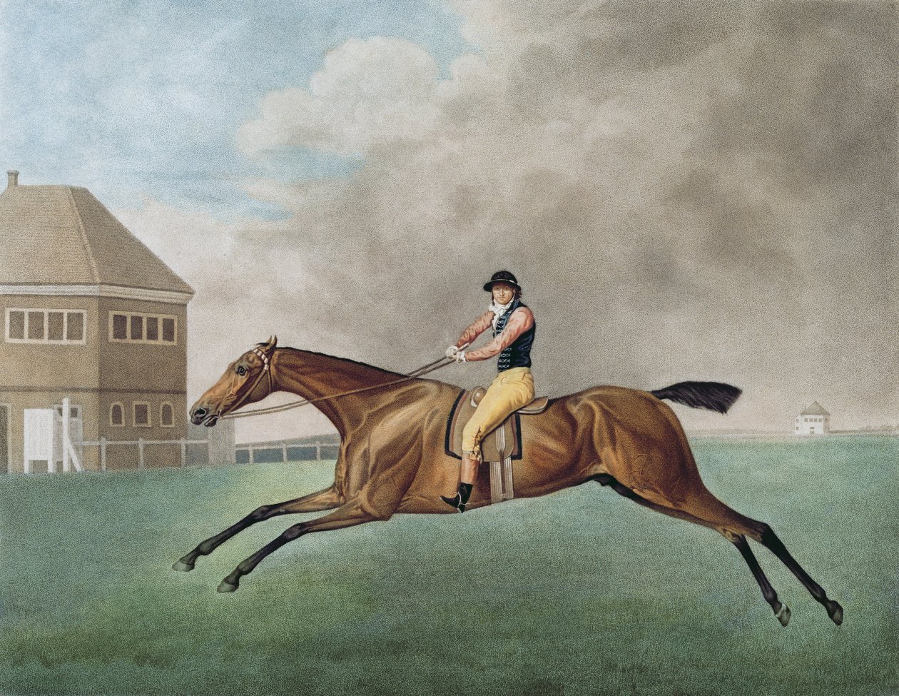 Baronet, 1794 od George Stubbs