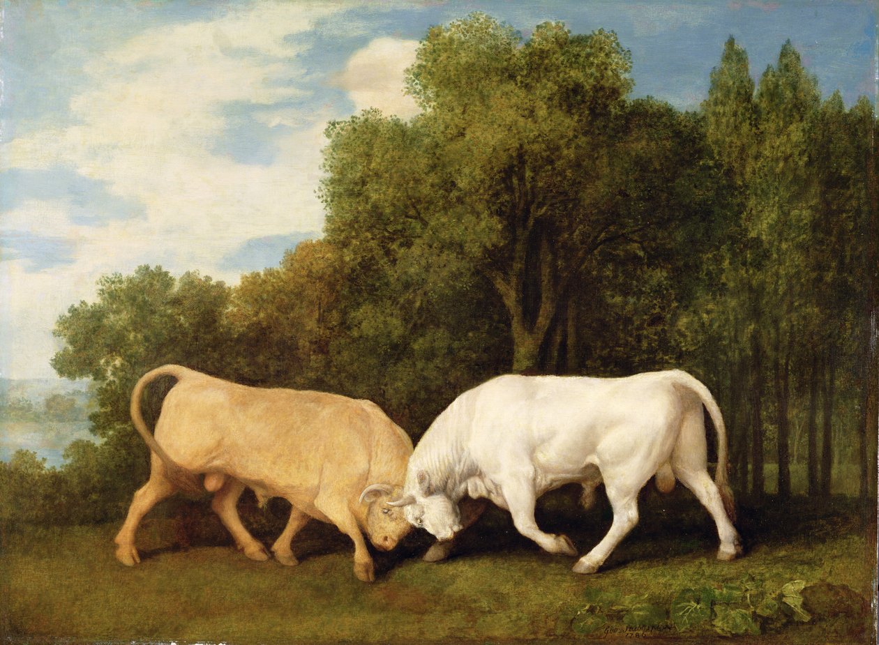 Býčí zápasy, 1786 od George Stubbs