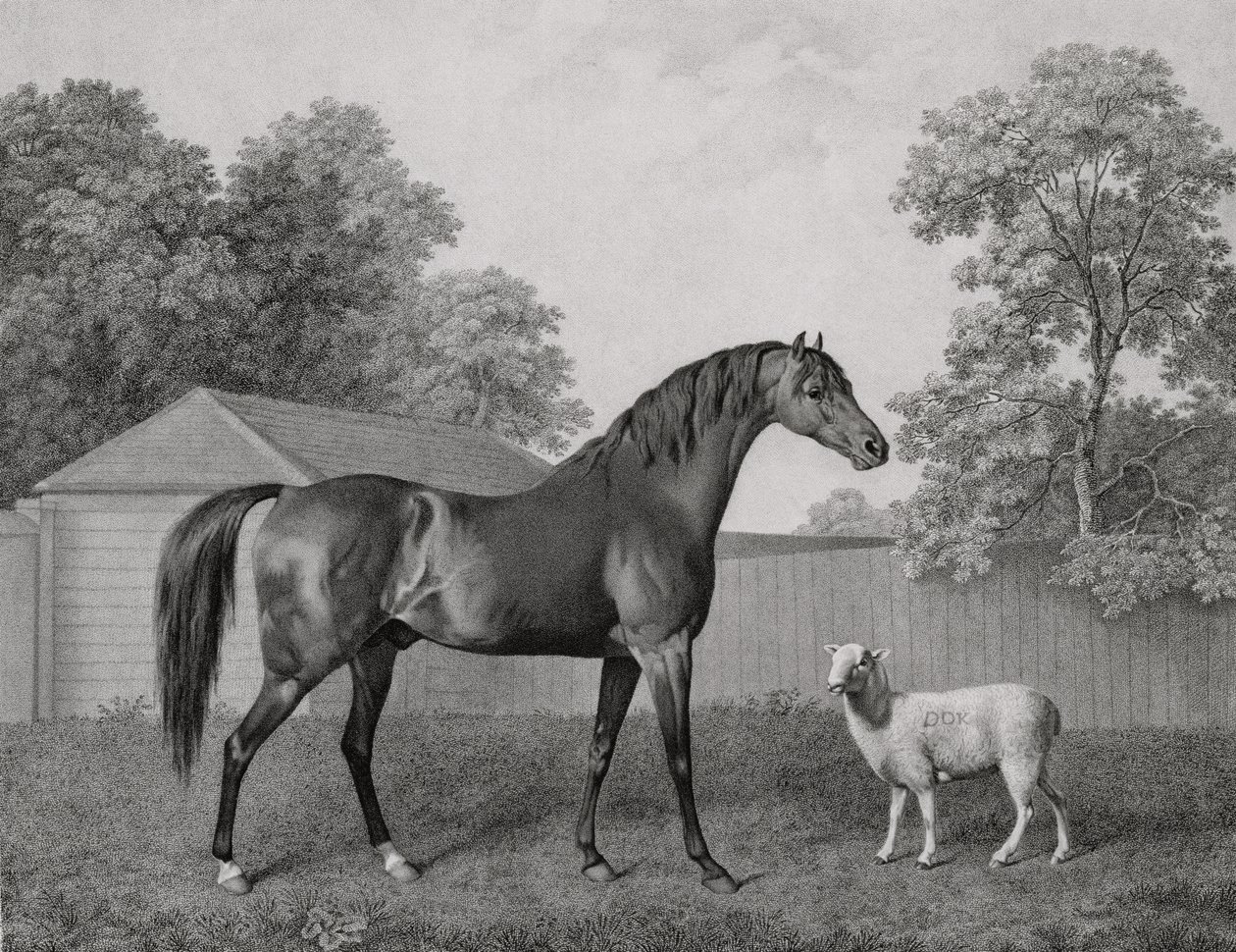 Dungannon, vyryl George Townley Stubbs (1756-1815) hospoda. 1794 od George Stubbs