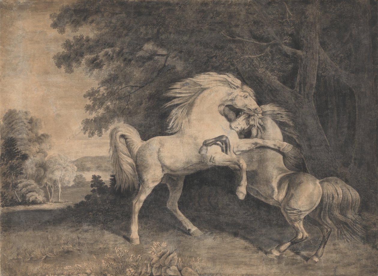 Koně bojují od George Stubbs