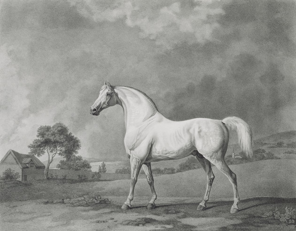Mambrino, vyryl George Townley Stubbs (1756-1815) hospoda. 1794 od George Stubbs