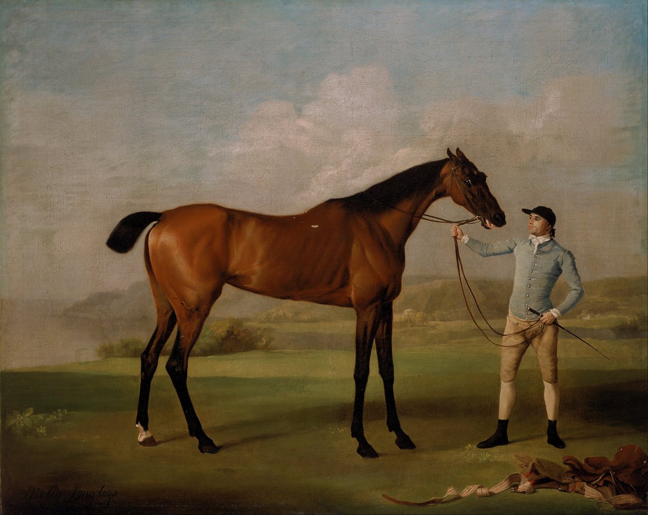 Molly Dlouhé nohy se svým žokejem od George Stubbs