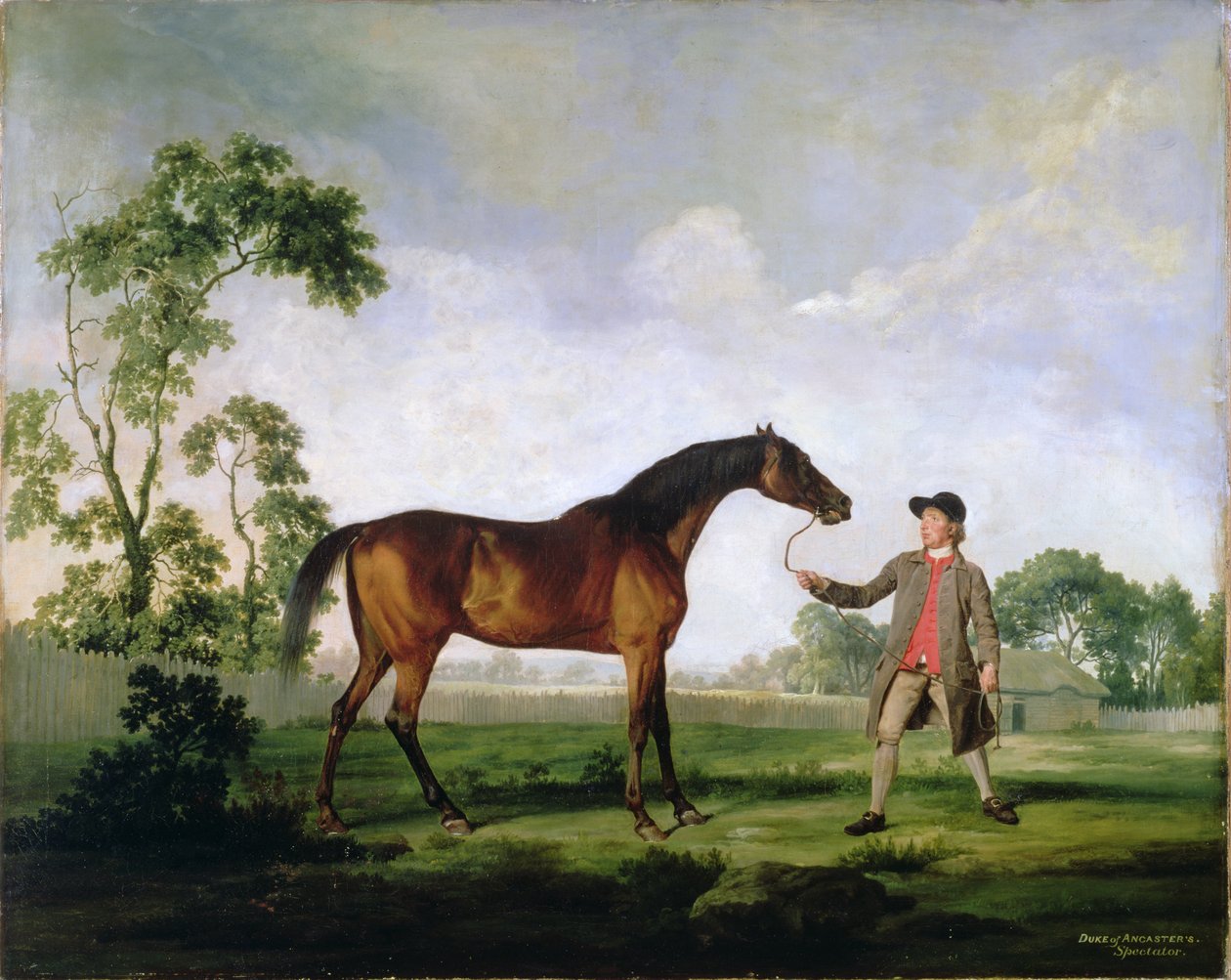 Hnědák vévody z Ancasteru Spectator, držený čeledínem, kolem 1762-5 od George Stubbs