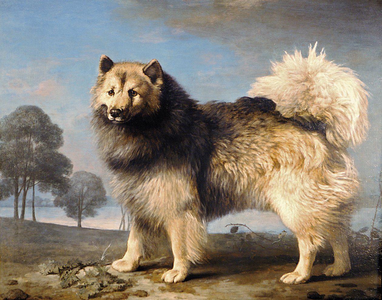 Turek, 1778 od George Stubbs