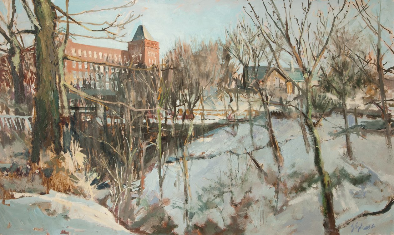 Springhead nedaleko Oldhamu od George Sykes
