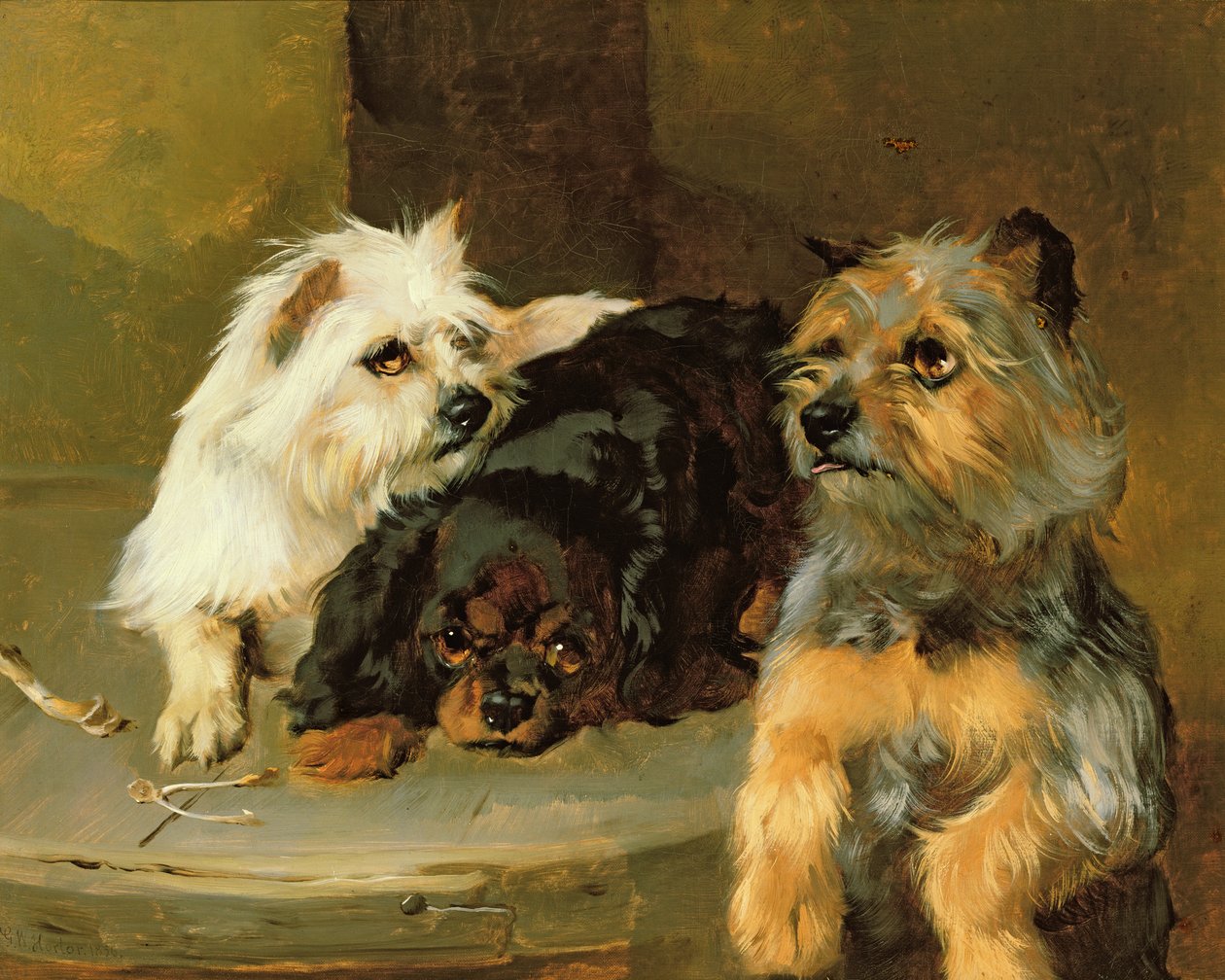 Dejte chudému psovi kost od George Wiliam Horlor