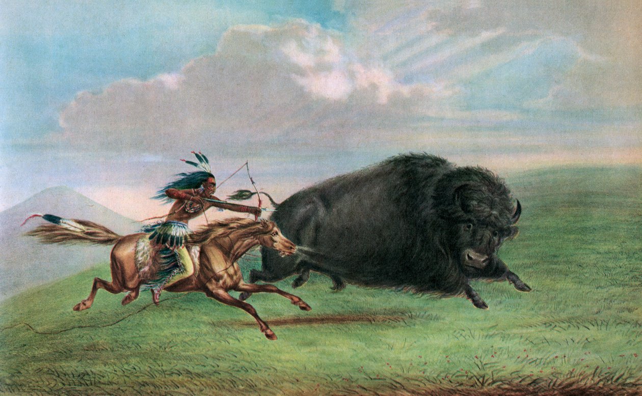 Tisk po Buffalo Hunt od George Catlina, kolem roku 1920 (sítotisk) od George (after) Catlin
