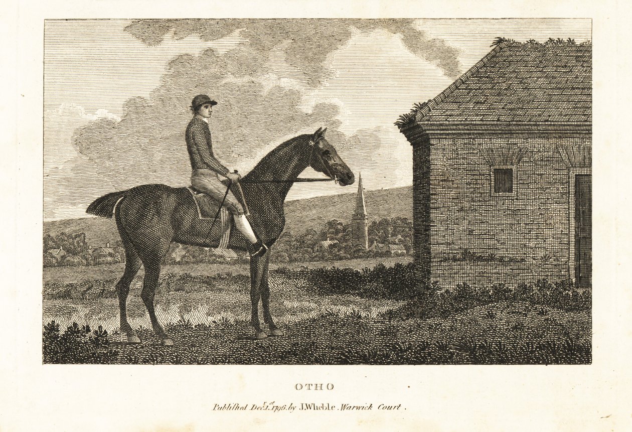 Portrét plnokrevného závodního koně Otho od George (after) Stubbs