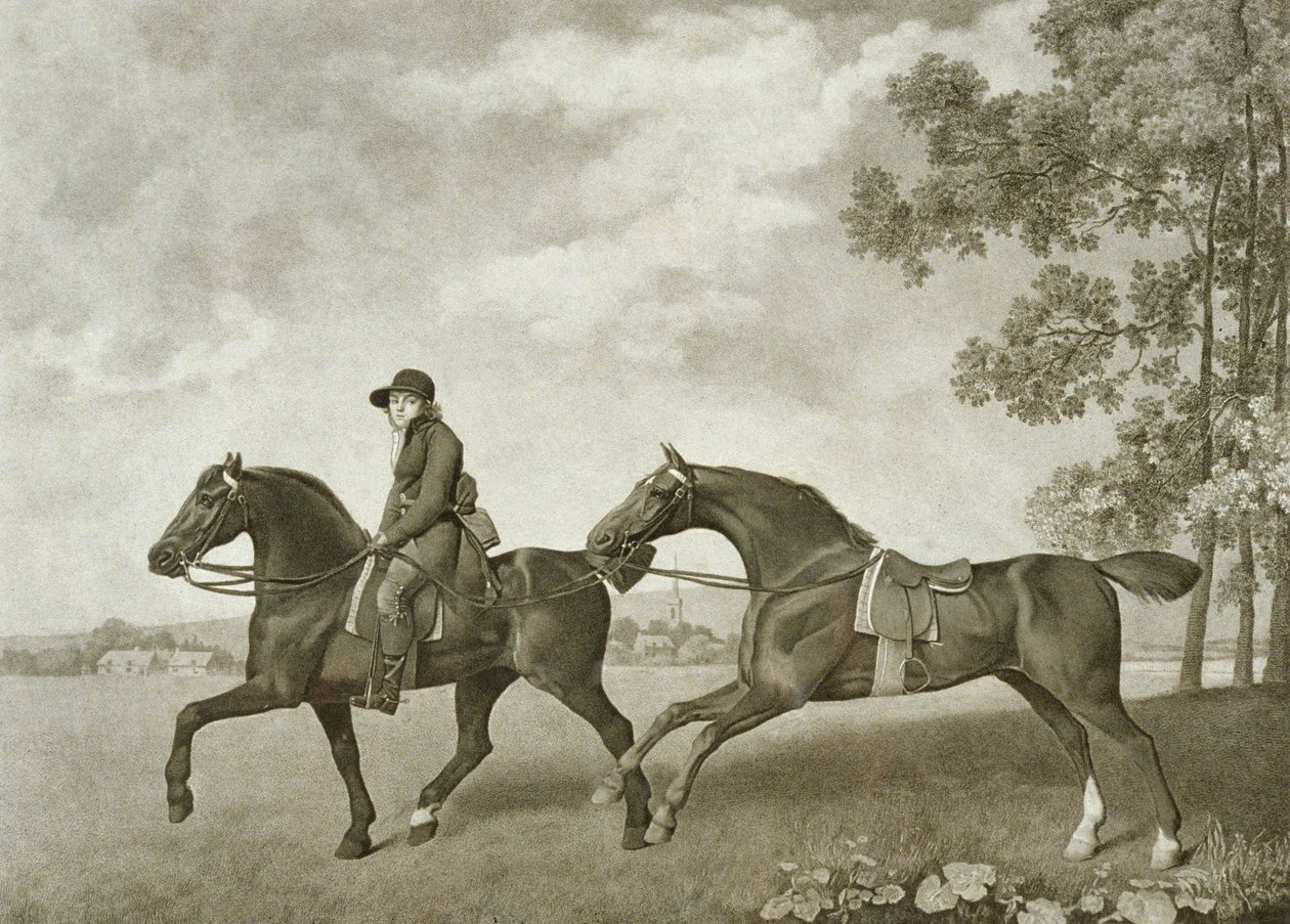 Two Hacks, vyryl George Townley Stubbs (1748-c.1815) (litho) od George (after) Stubbs