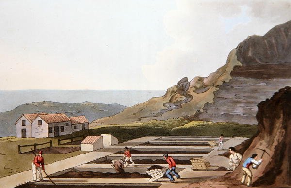 Kamenec, z ‚Costume of Yorkshire‘ vyrytý Robertem Havellem (1769-1832) 1814 (barevně lito) od George (after) Walker