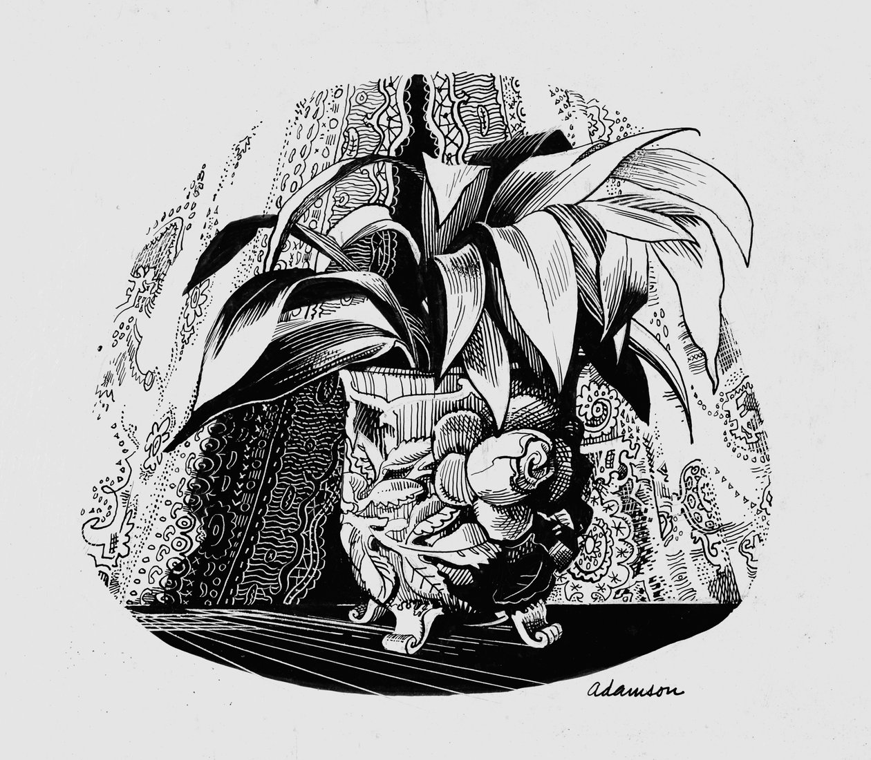 Aspidistra in a Bowl, 50. léta (indický inkoust na škrabce) od George Adamson