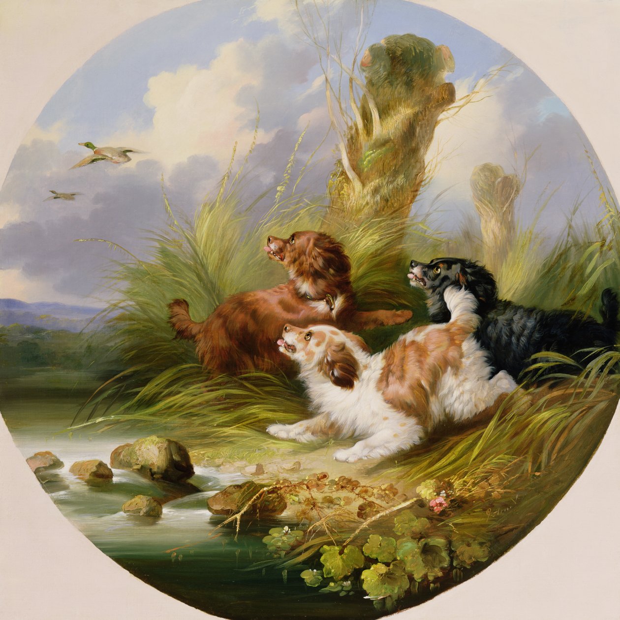 Three Spaniels Flushing Mallard (olej na plátně) od George Armfield