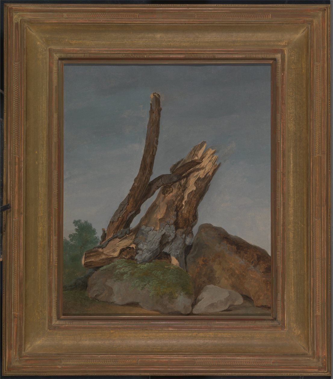 Studium hornin a větví od George Augustus Wallis