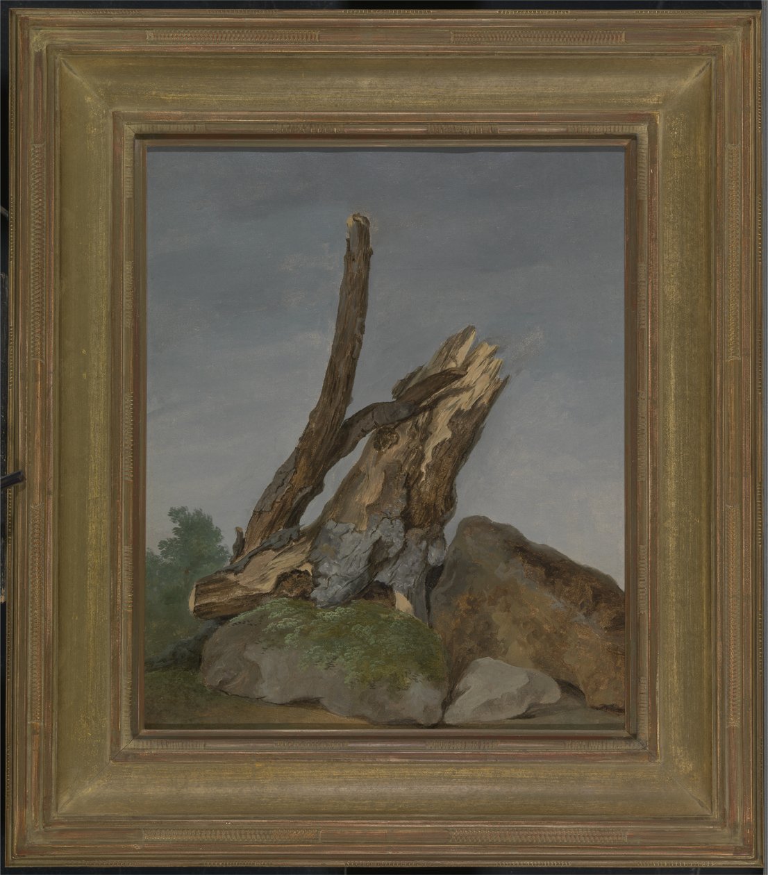 Study of Rocks and Branches, c.1795 (olej na papíře) od George Augustus Wallis