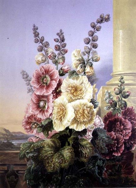 Topolovka (barevná lito) od George Baxter