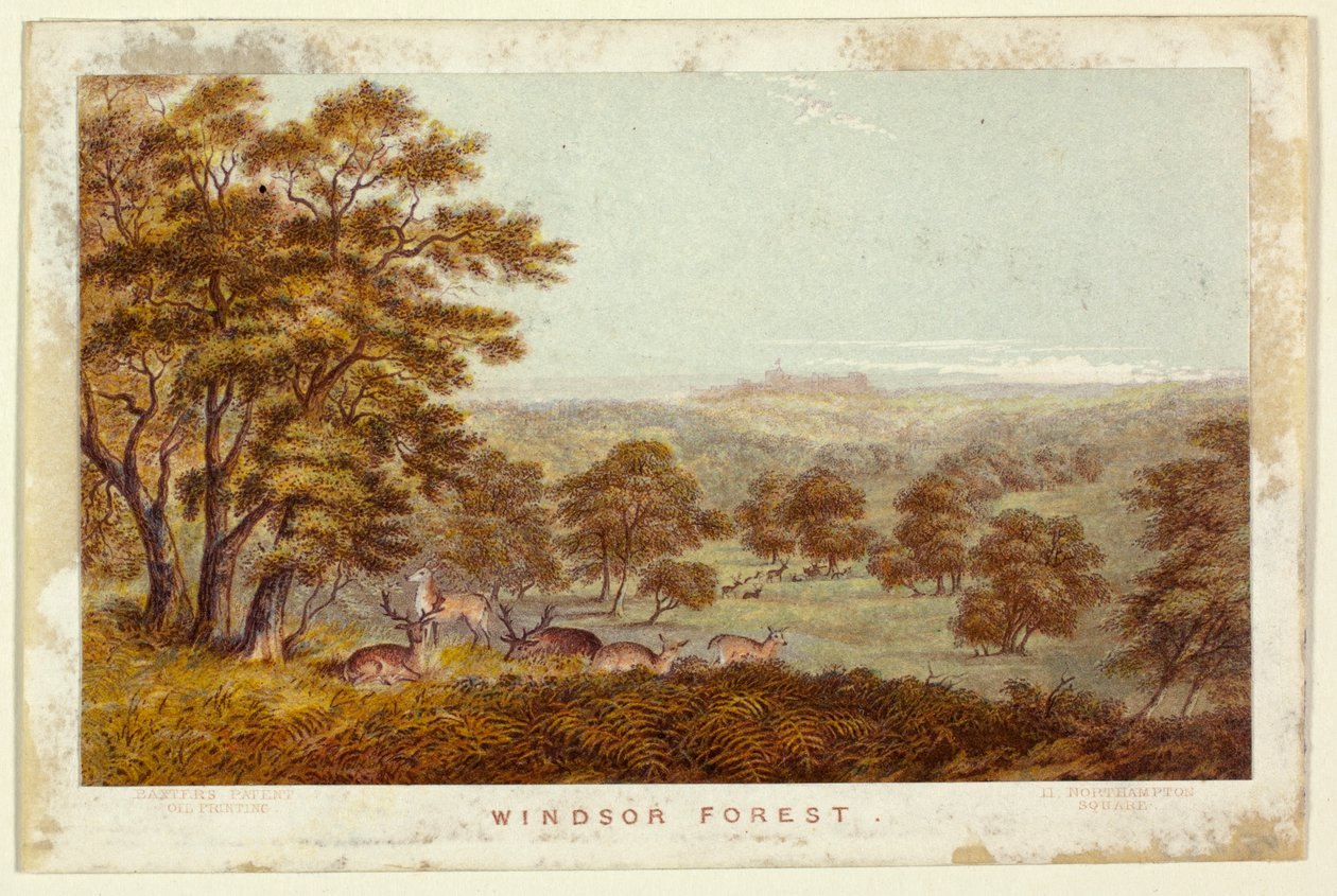 Windsorský les - kapesní vydání od George Baxter
