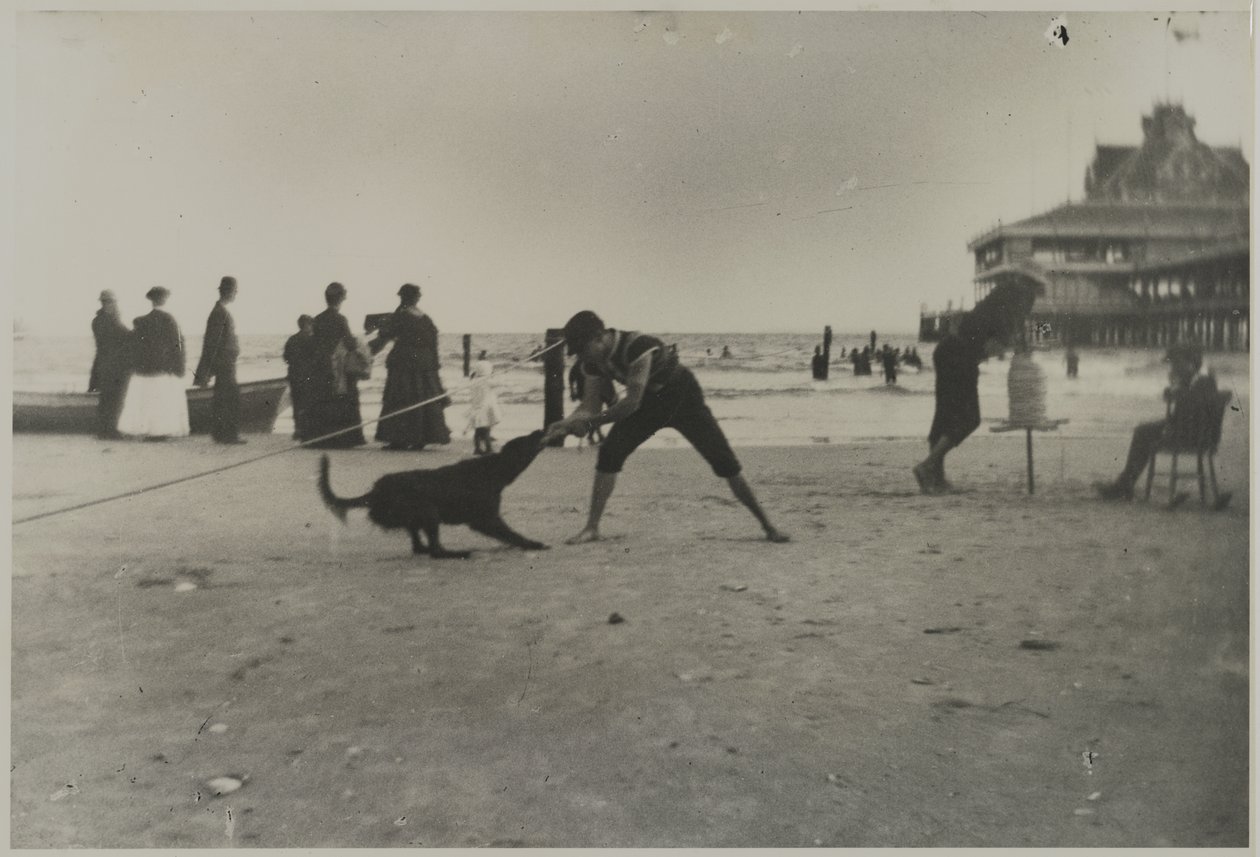Boy and Dog, Iron Pier, Coney Island, Brooklyn, cca 1885 (tištěný želatinový stříbrný tisk) od George Bradford Brainerd