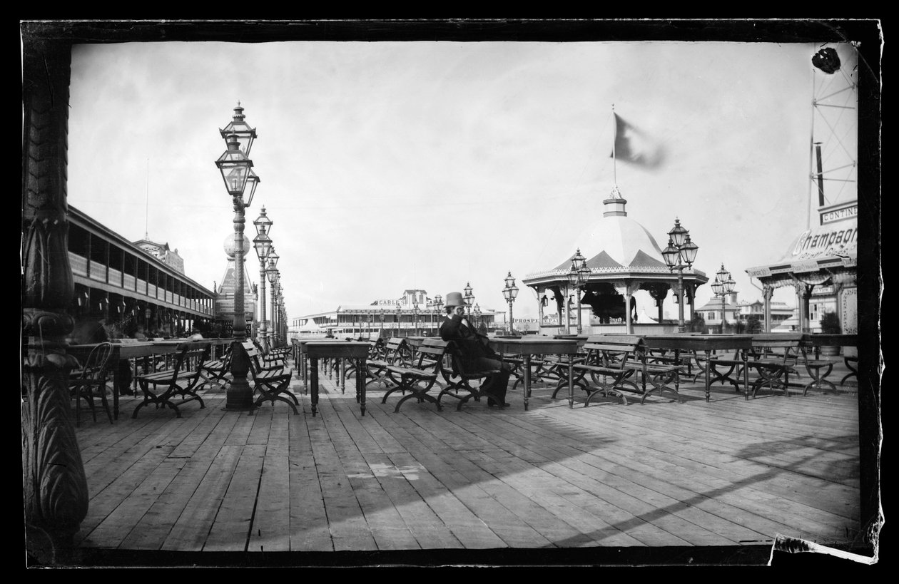 Cables and Iron Cow, Coney Island, Brooklyn, kolem 1872-87 (mokrý kolodiový negativní) od George Bradford Brainerd