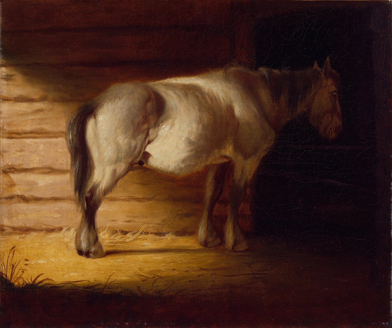 Starý polní kůň, 1856 (olej na plátně) od George Caleb Bingham