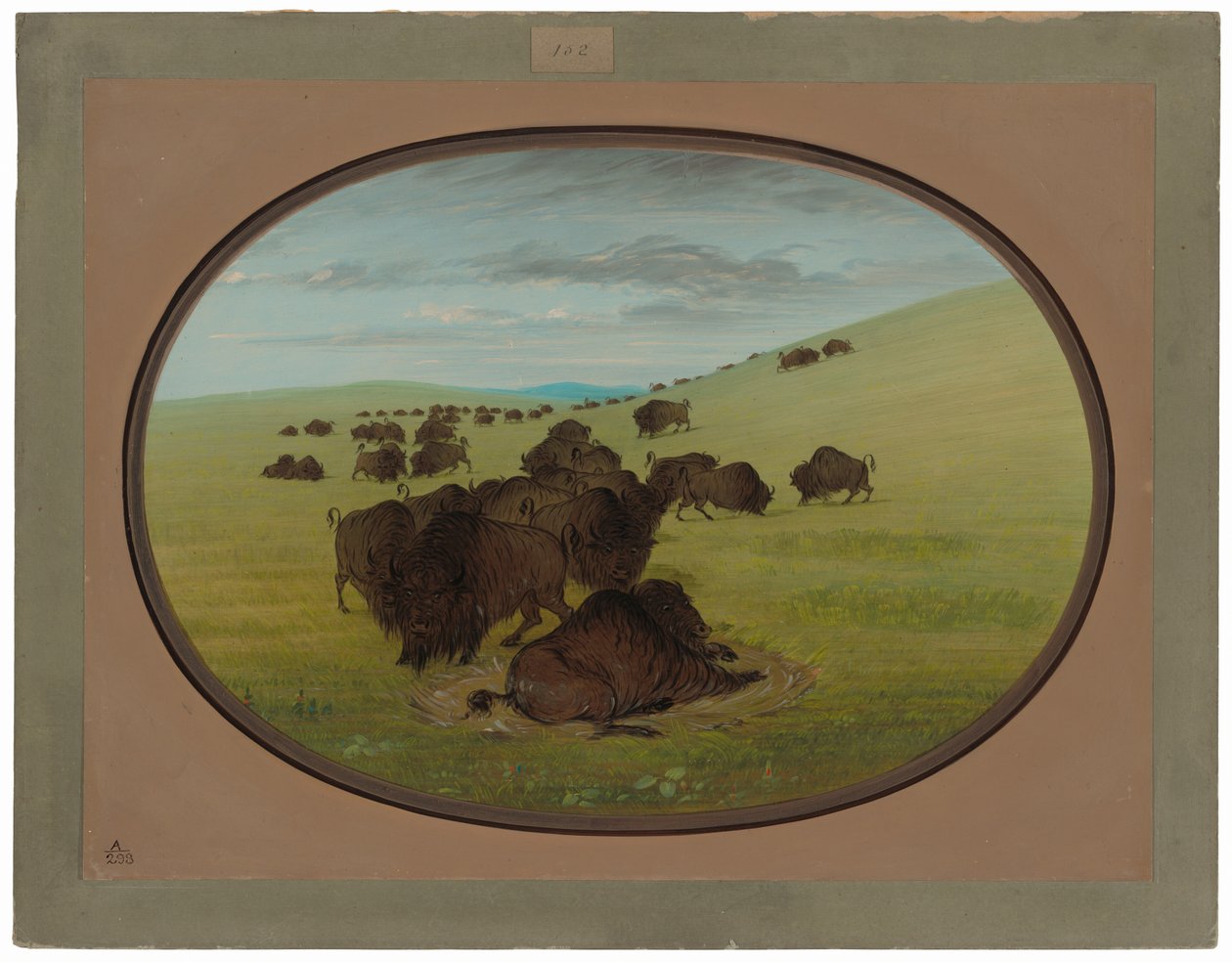 Buffalo Wallow od George Catlin