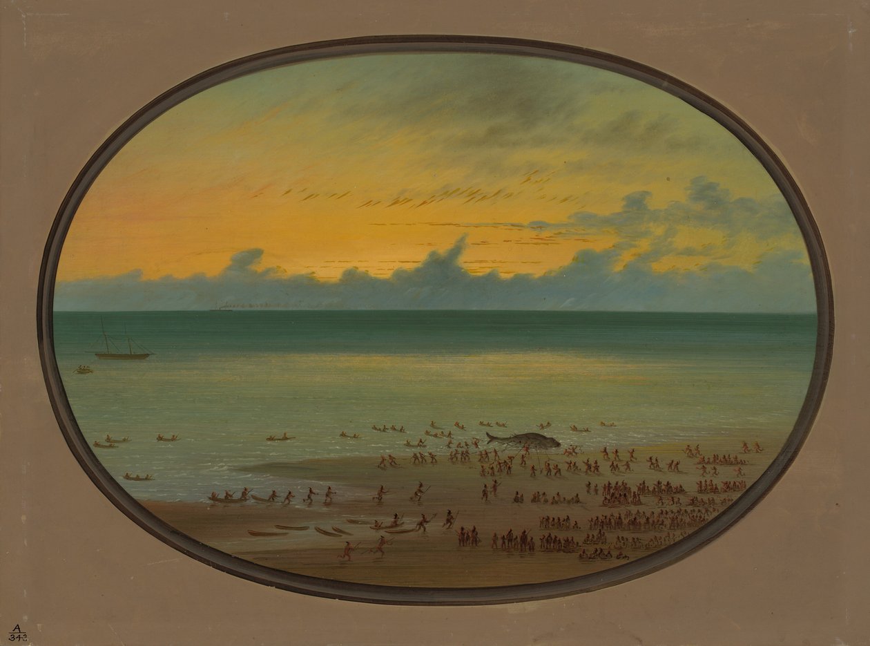 Velryba na břehu - Klahoquat, 18551869. od George Catlin