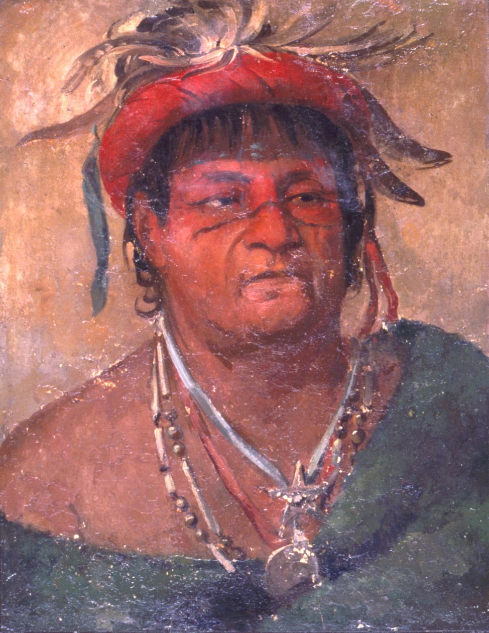 Aúh-ka-nah-paw-wáh, Země stojící, starý a statečný bojovník od George Catlin