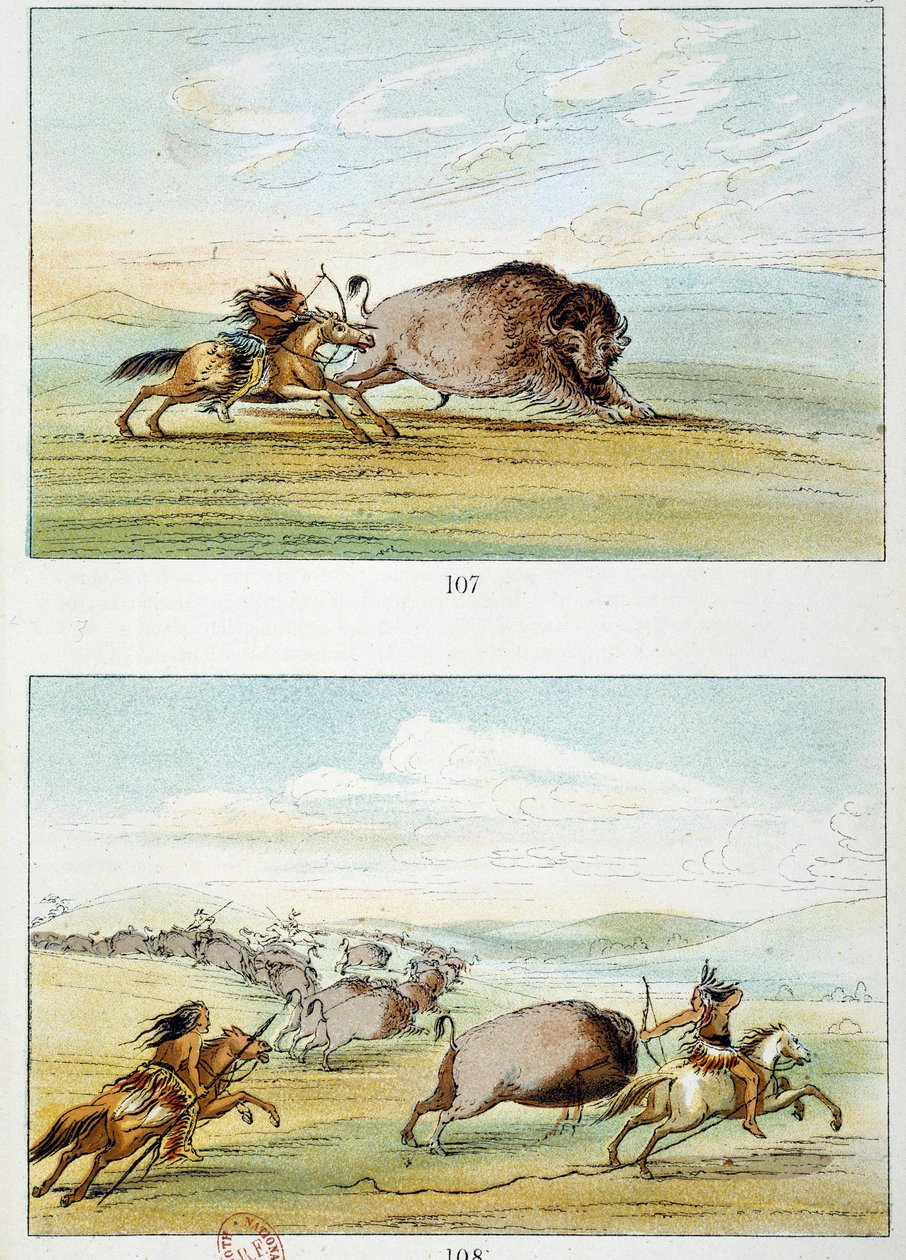 Američtí indiáni: lov bizonů. Ilustrace George Catlin (1794-1872) od George Catlin