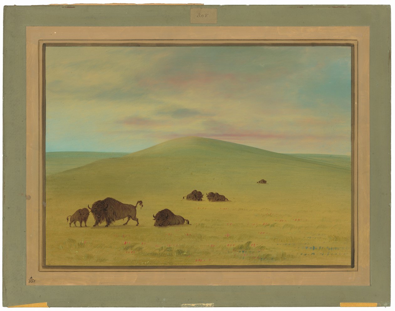 Americká pastvina - Prairies of Platte od George Catlin