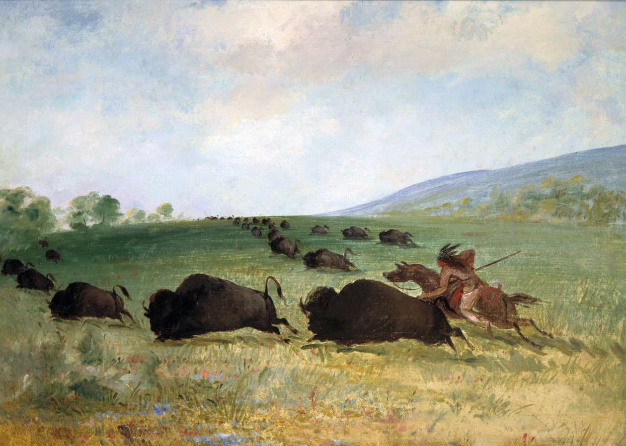 Indián z kmene Osage, který loví bizona od George Catlin