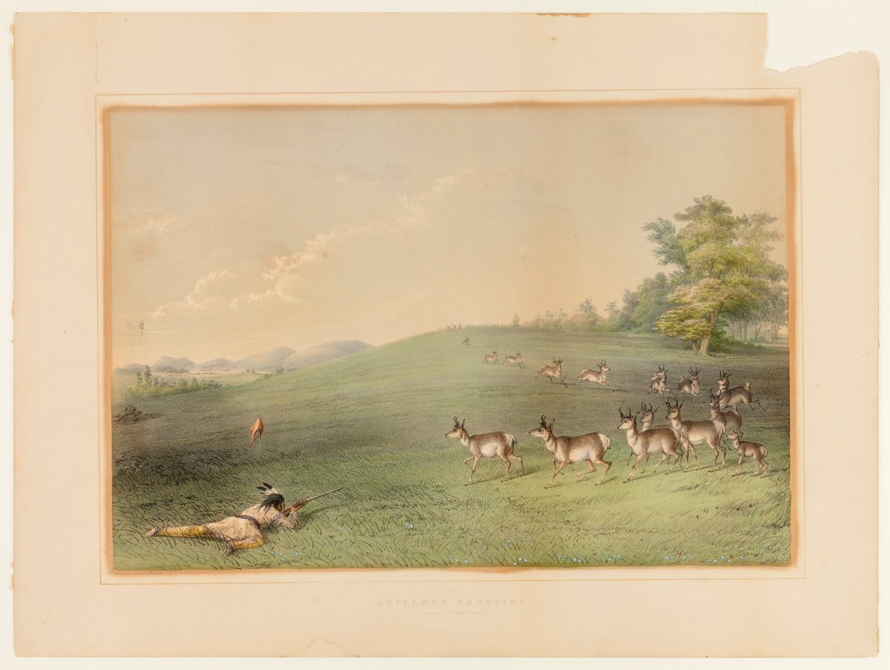 Střelba na antilopy - č. 20 od George Catlin