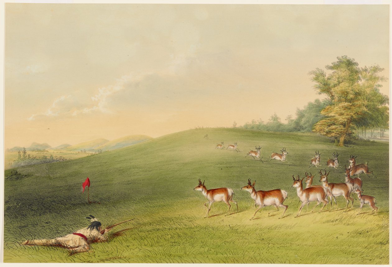 Lov antilop od George Catlin