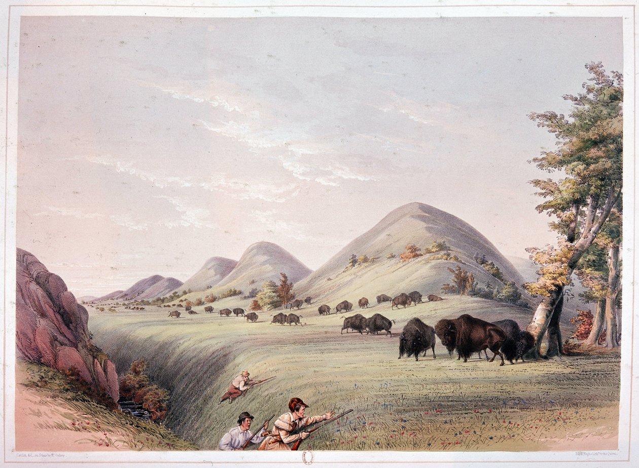 Bison Hunt od George Catlin
