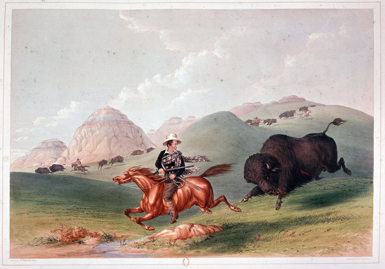 Bison Hunt v Severní Americe - litografie Georges Catlin od George Catlin