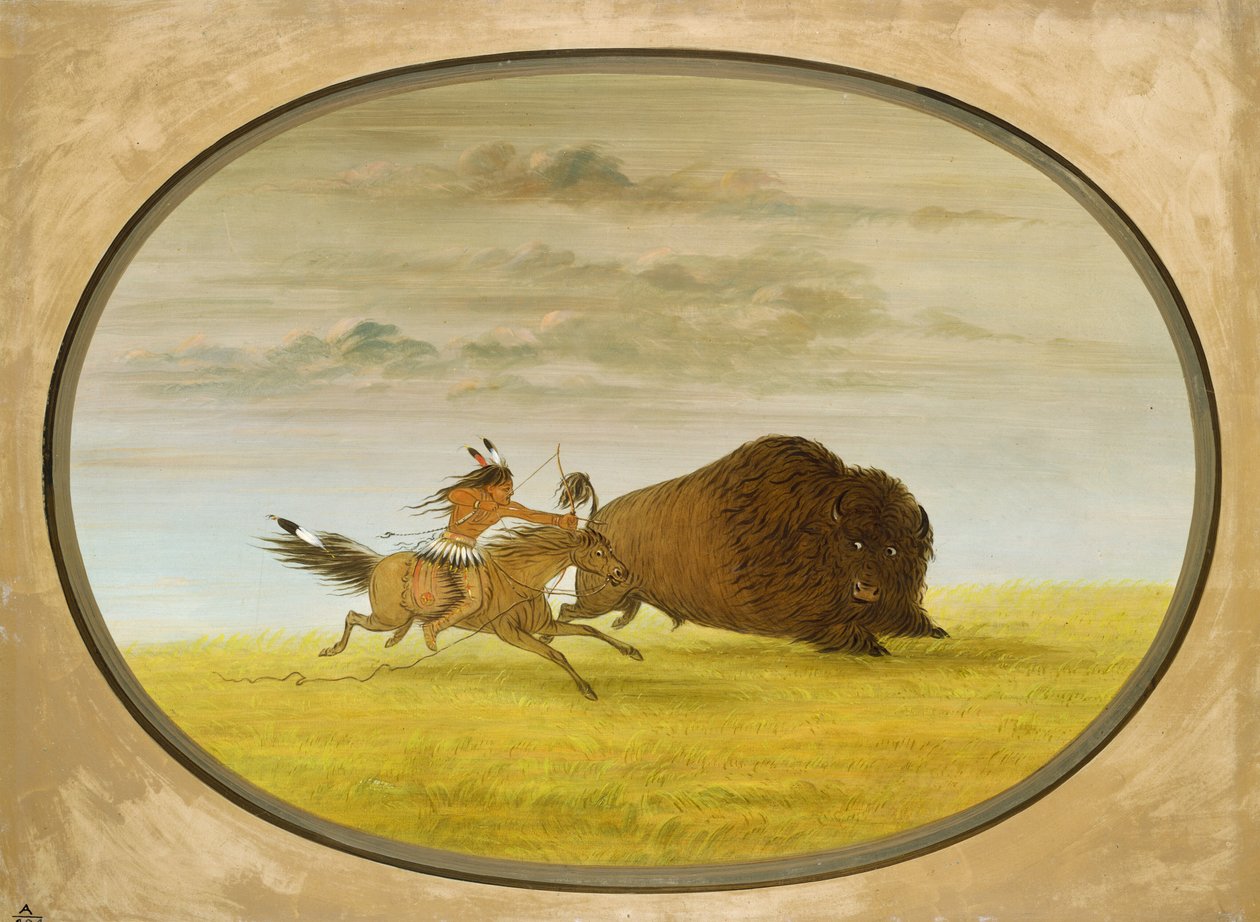 Hon na bizony od George Catlin