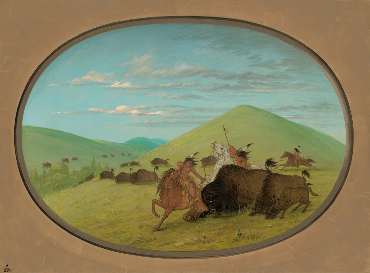 Buffalo Chase - Býci chránící telata, 18611869. od George Catlin