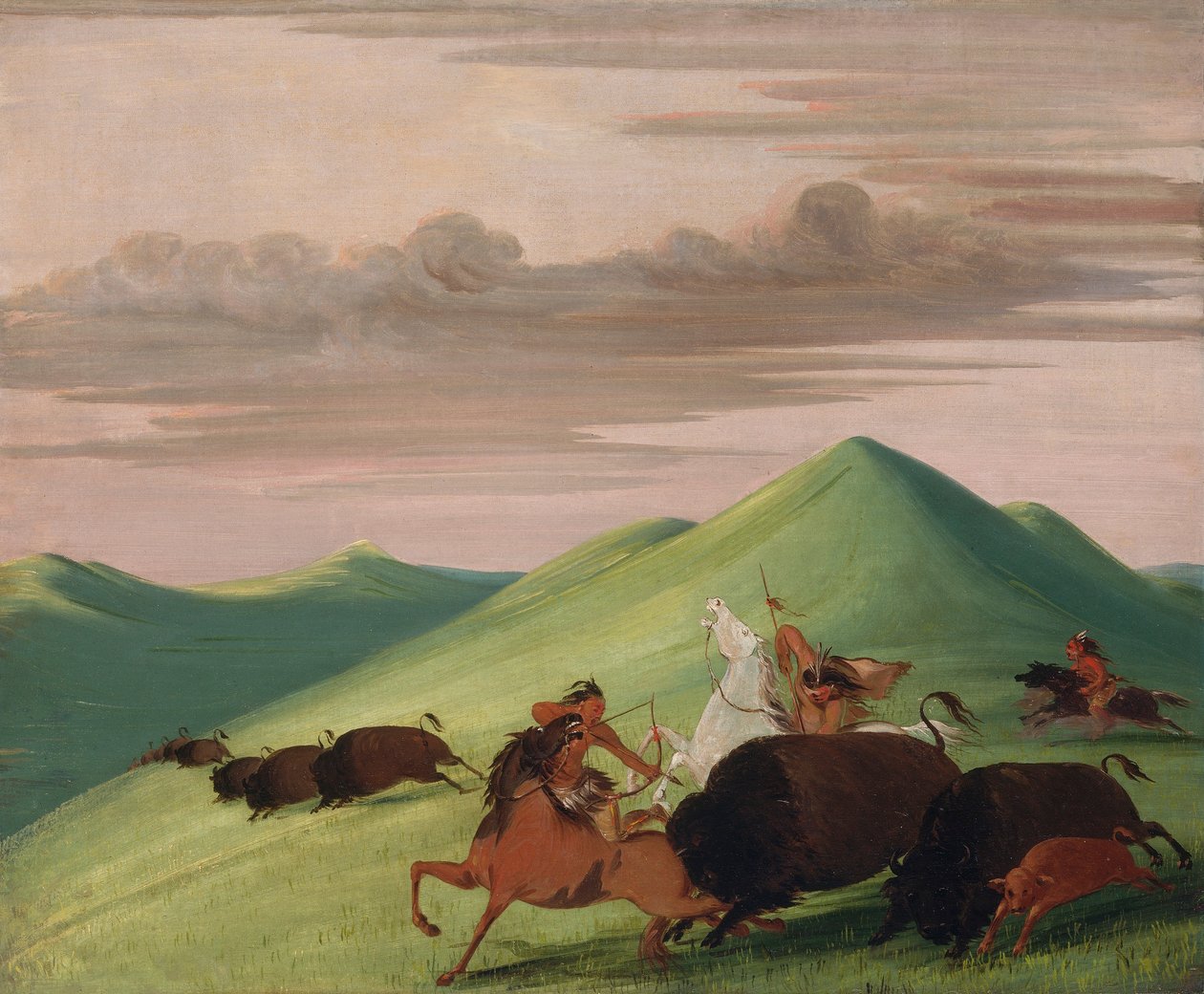 Buffalo Chase, býk chránící krávu a tele od George Catlin