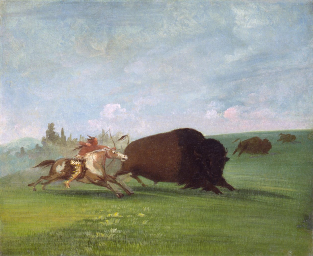 Buffalo Chase, jediná smrt od George Catlin